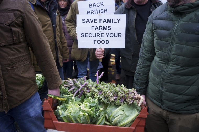 Protesto de agricultores britânicos em Londres