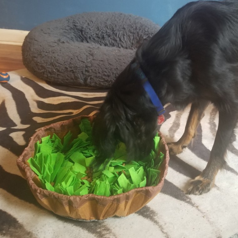 Black dog eating food from a green and brown snuffle mat toy