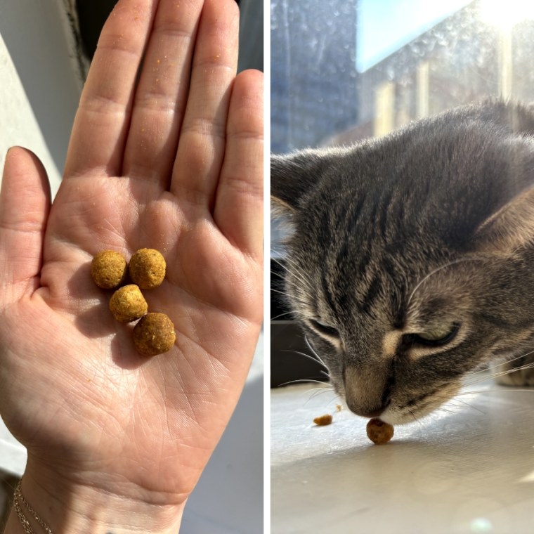 The 9 Best Cat Treats of 2024 According to Vets NBC Select