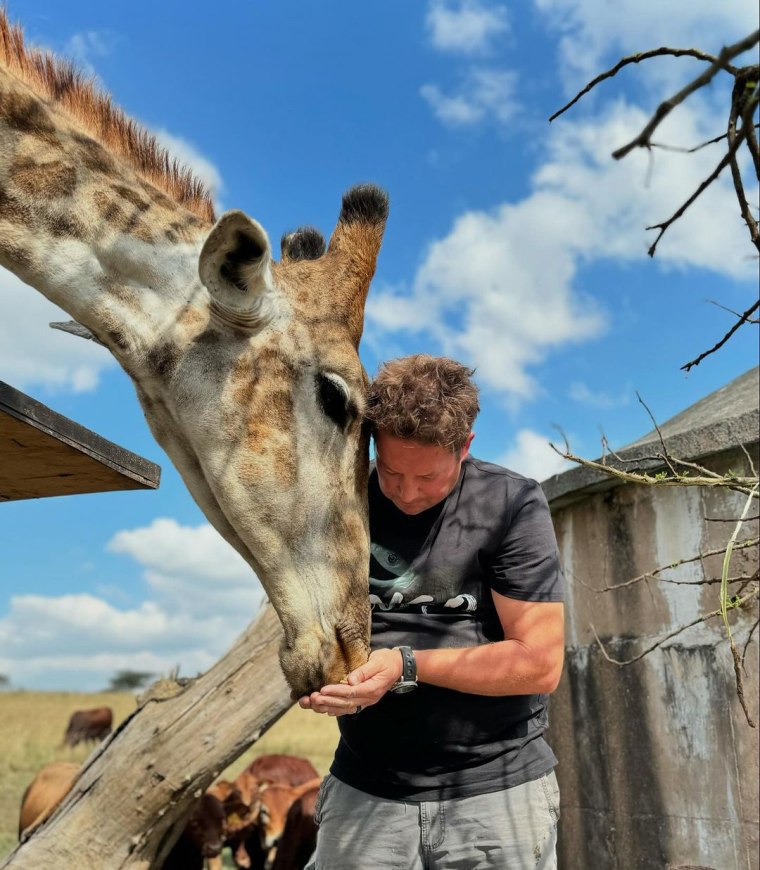 Dingo Dinkelman feeds a giraffe.