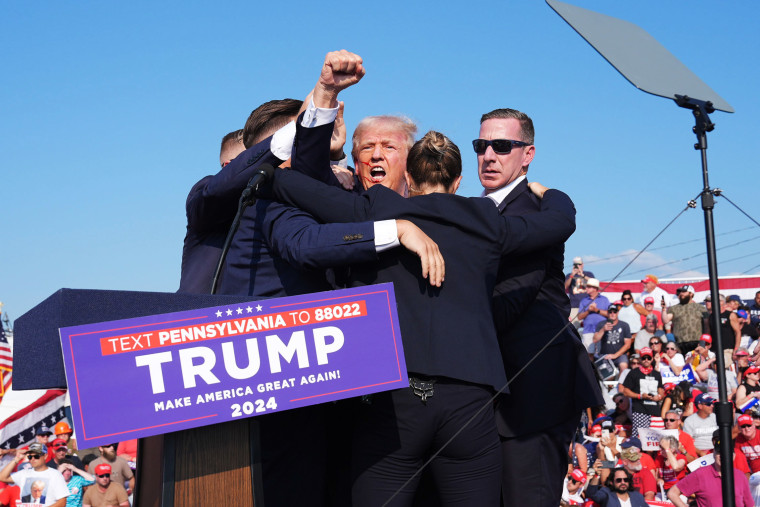 Donald Trump raises his arm with blood on his face 