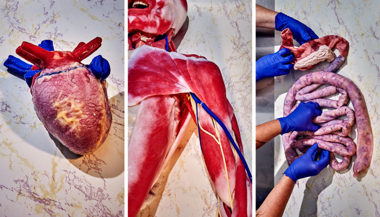 Synthetic models of a human heart, cadaver and intestines are displayed at SynDaver in Tampa, Fla.