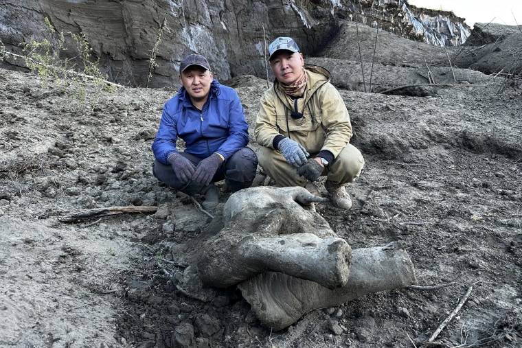 FILE PHOTO: Remains of a well-preserved baby mammoth discovered in Siberian permafrost