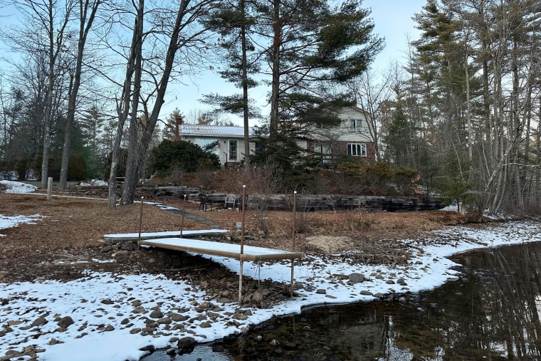 A house is seen through trees by a lake with a dock