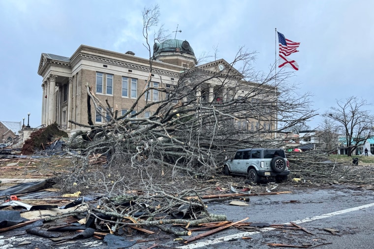 Outside debris from a tree that fell into a building