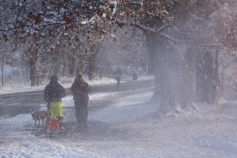 People and their pets in the snow