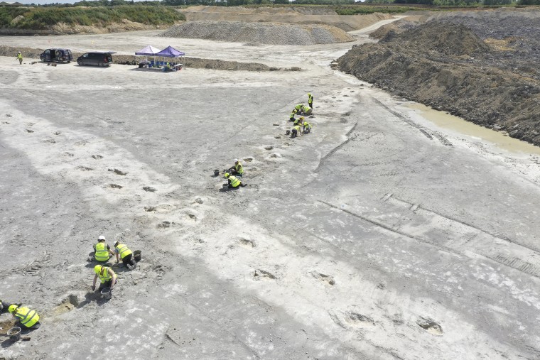 ‘Dinosaur freeway’ tracks courting again 166 million years are came upon in England