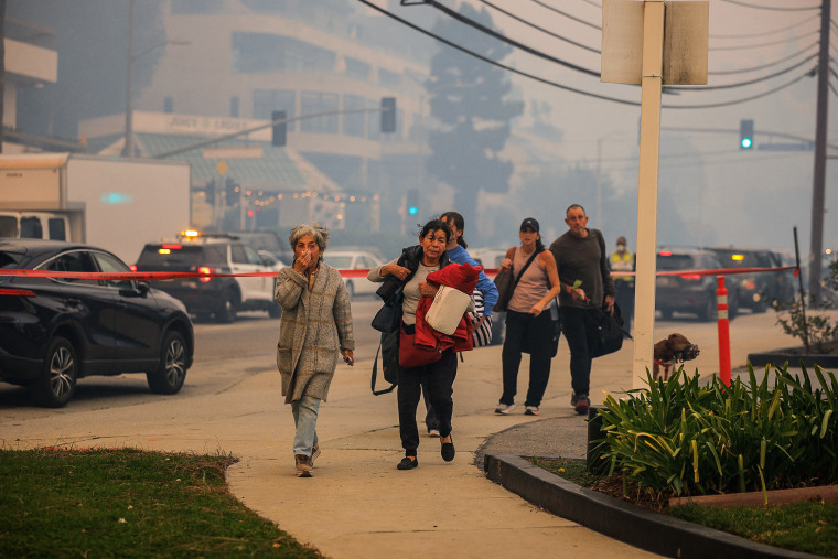 Wildfires in Los Angeles