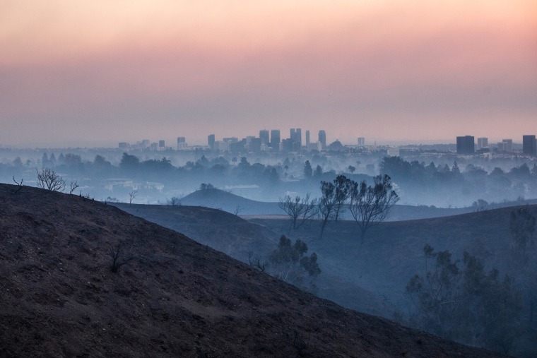  Burned trees from the Palisades Fire seen from Will Rogers State Park in Los Angeles