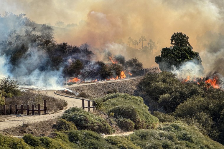 Fire crossing road and heading toward Palisades village at around noon.