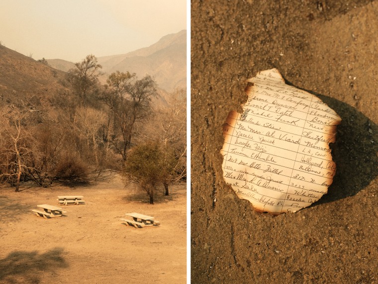 Empty picnic tables near charred foliage; a burnt piece of paper with guests' names.