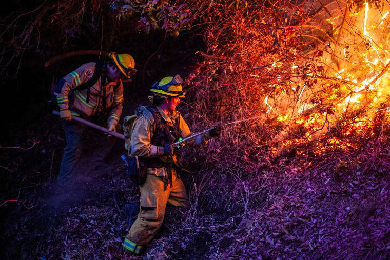 Wildfires in Los Angeles