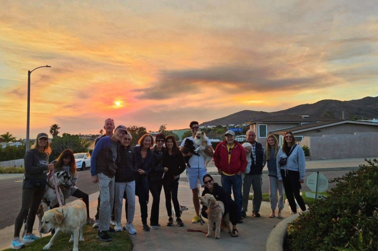 The neighborhood "doggy group" met daily at 4 p.m. in the Sunset Mesa.