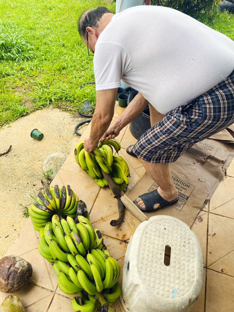 Dinatalia Farina's uncle trimming guineos, or bananas, on his porch in Puerto Rico.