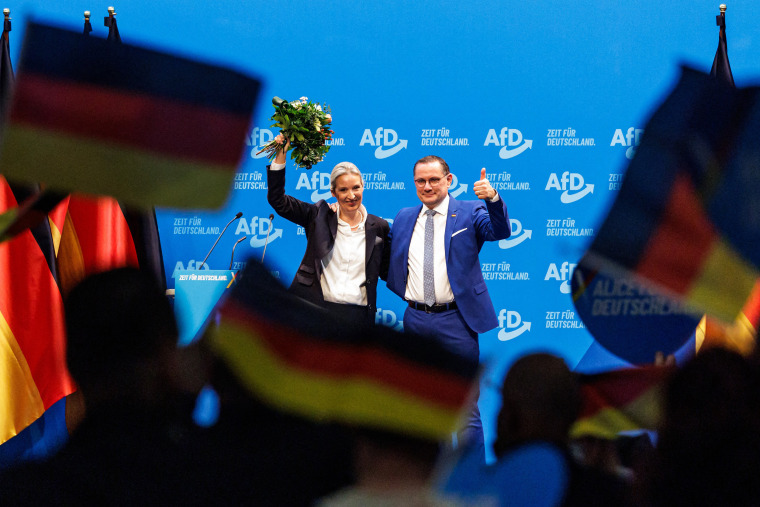 Antes das eleições gerais agendadas em 27 de fevereiro de 2012, os representantes da AFD confirmaram o candidato de seu co-líder do partido Alice Weited como candidato do chanceler e esperava aceitar um roteiro com moedas do euro e política de migração.