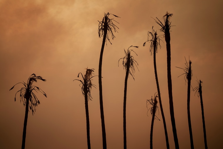 Powerful Winds Fuel Multiple Fires Across Los Angeles Area