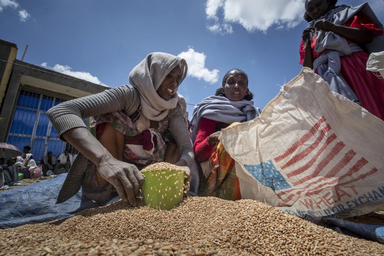 An Ethiopian woman scoops up wheat to be distributed to families in the Tigray region of northern Ethiopia