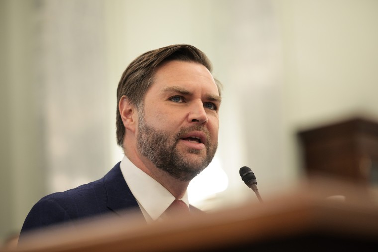 Vice President J.D. Vance speaks at the Russell Senate Office Building on January 29, 2025 in Washington, DC.