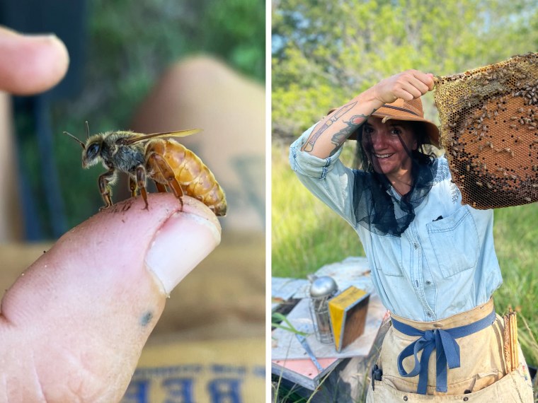 A bee on a thumb; Ang Roell holds a bee frame.