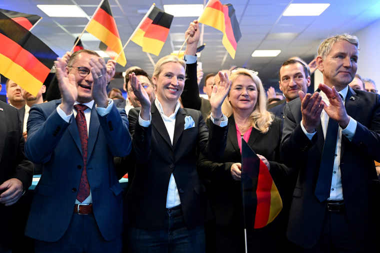 Germany Holds Snap Federal Parliamentary Elections