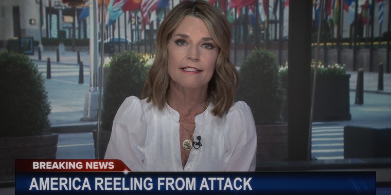 Savannah Guthrie reporting