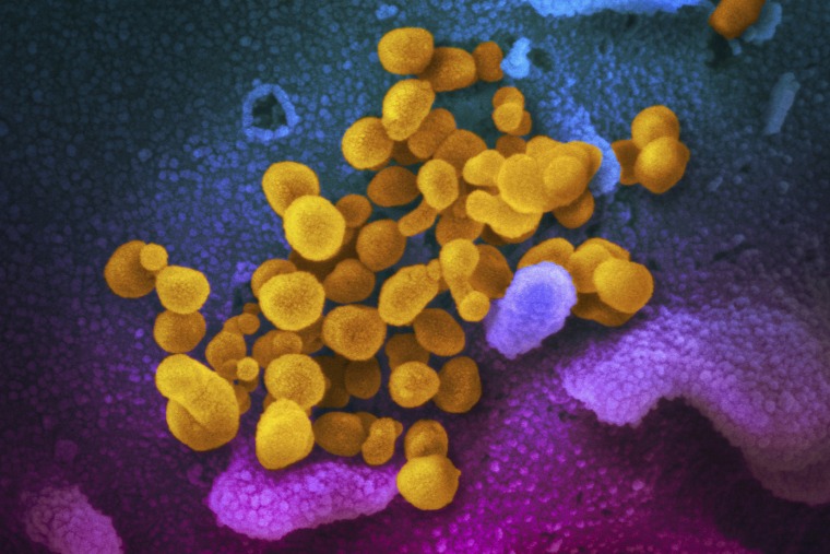 covid-19 Novel Coronavirus SARS-CoV-2