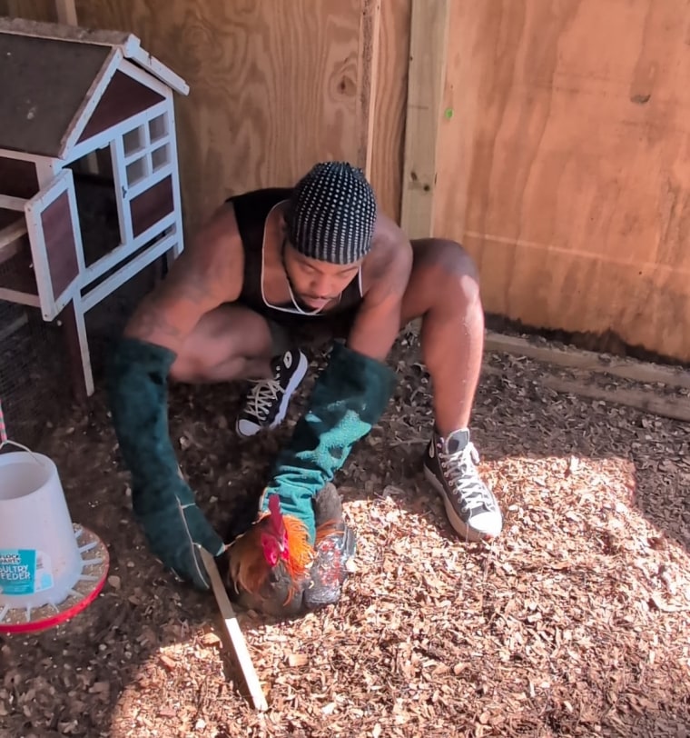 Amir Johnson tends to a chicken in a coop