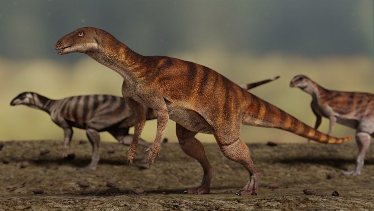 Las huellas de dinosaurios han descubierto una roca en Australia