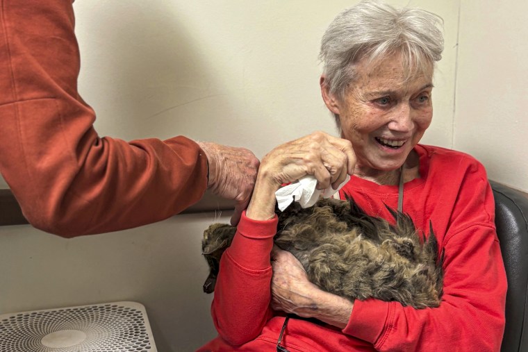 Owner reunited with her cat months after Palisades Fire destroyed her home