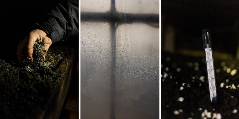 A split three way composite image of a hand touching compost, left, a steamed window, center, and a thermometer in soil.