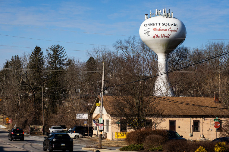 A water tower that says "Kennett Square Mushroom Capital of the World" is seen in the distance from a street view
