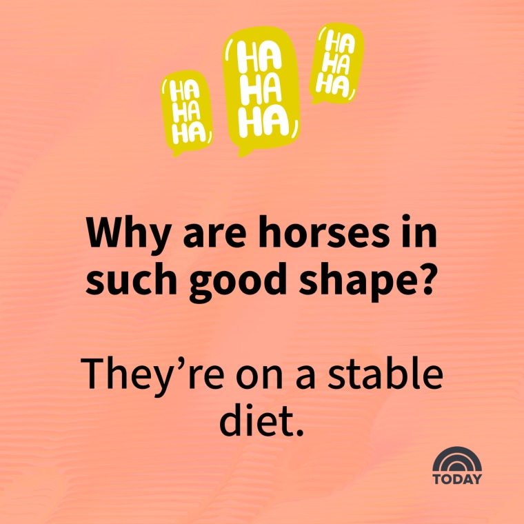 Bad Jokes