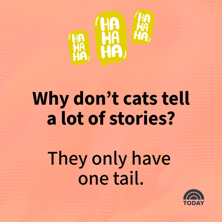 Bad Jokes