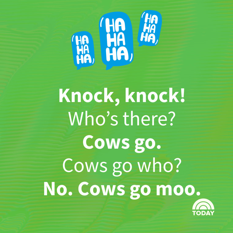 Bad Jokes