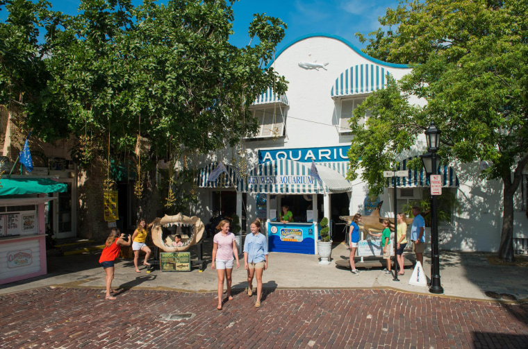 Mallory Square