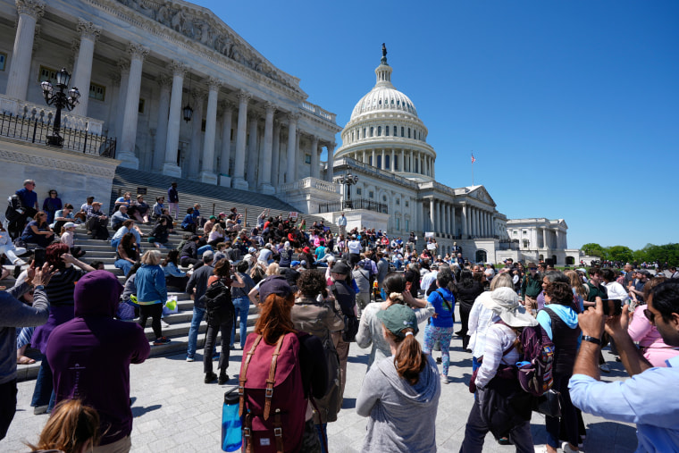 A crowd outside of the Capitol building on the steps