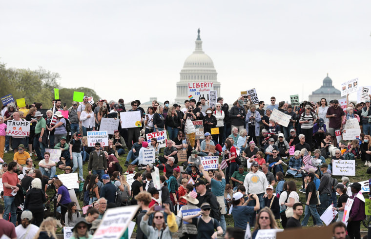 Protesters attend a "Hands Off" rally on the National Mall on April 5, 2025.