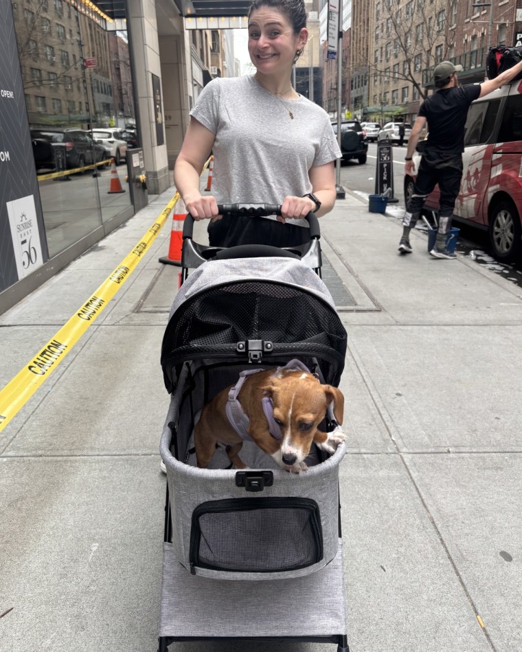 A woman pushing a brown and white dog in the Nova Microdermabrasion Store Dog Stroller.