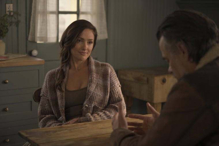 Minka Kelly as Quinn