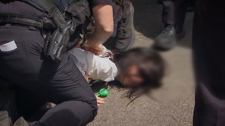 Police in Worcester, Mass., held a young girl's face to the ground as U.S. Immigration and Customs Enforcement agents detained her mother.