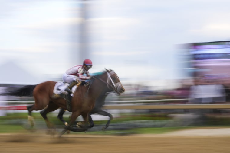Preakness Stakes Horse Racing