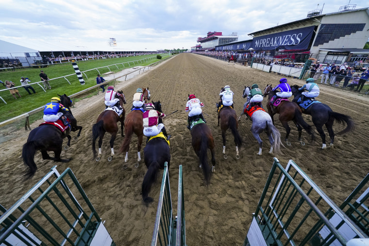 Preakness Stakes Horse Racing