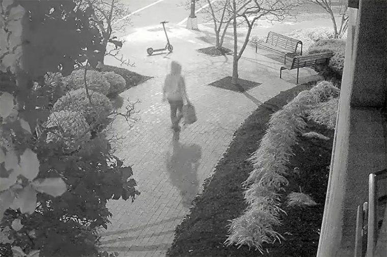dnc pipe bomb suspect bw video surveillance footage