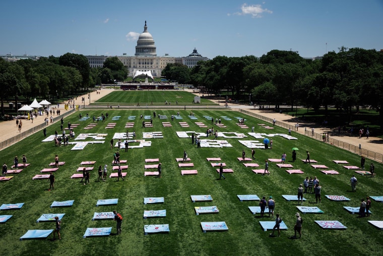 The "Freedom to Be" quilt laid out on the grass on the National Mall.
