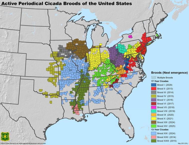 Map showing cicada broods