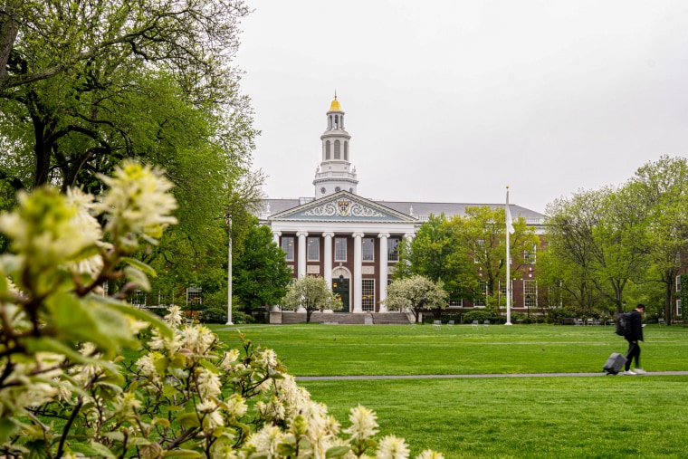 Campus de Harvard.