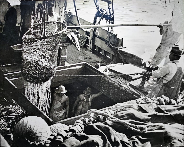 Os pescadores japoneses criaram pequenos robôs e avançaram técnicas inovadoras de phishing para capturar atum na Baía de San Pedro. Eles desempenharam um papel de apoio no desenvolvimento da indústria de phishing de atum no sul da Califórnia.