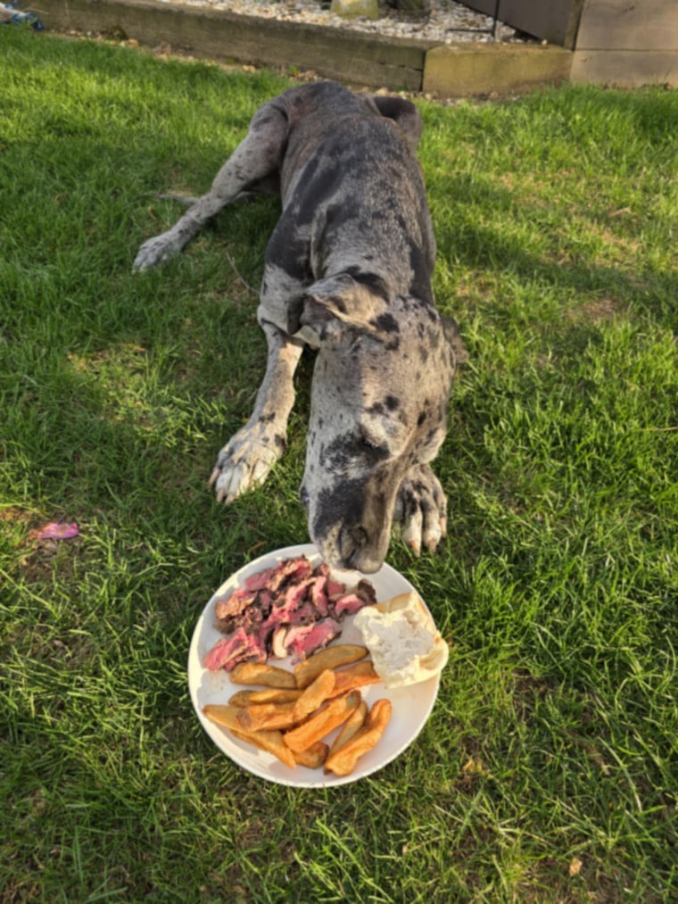 Texas Roadhouse fulfills customer’s special request — his dog’s last meal