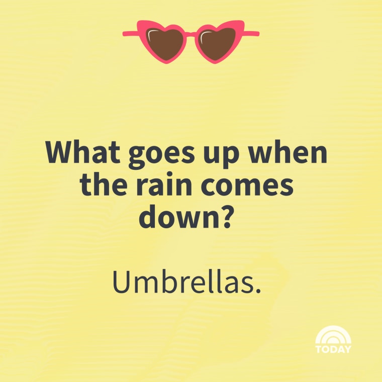 Spring Jokes