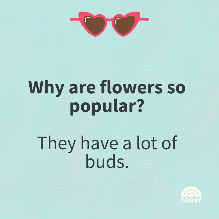 Spring Jokes